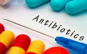 درمان آندومتریوز با آنتی بیوتیک ها امکان پذیر است