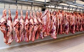 گرانی گوشت ارتباطی به قاچاق دام ندارد