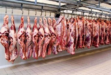 گوشت موردنیاز ۶ ماه استان تهران در گمرک