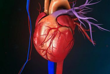 ارتباط علائم یائسگی و افزایش ریسک بیماری‌های قلبی