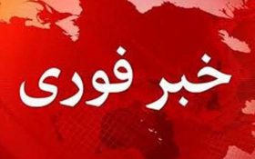 فوری / همتی اسامی متخلفان ارزی را به رئیس‌جمهور اعلام کرد