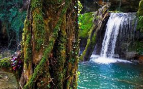 گمشده بهشتی جنوب ایران کجاست؟