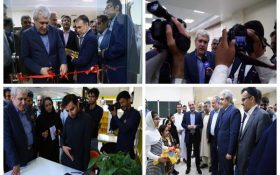 ستاری در مراسم افتتاح پارک علم و فناوری مکران:  چابهار به زیست‌بوم نوآوری پیوند خورده است