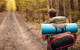 چند توصیه صندوق جهانی حیات وحش به گردشگران