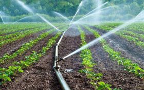 توسط یک استارت آپ ایرانی؛ فناوری نانو مشکل آبیاری را در کشاورزی حل کرد