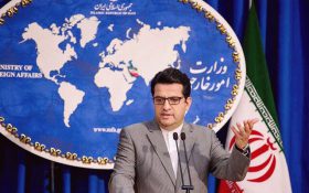موسوی: رفتار مرزبانی آمریکا با ایرانیان، نژادپرستی مطلق و نقض حقوق بشر است