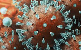 احتمال جهش و افزایش بیماریی‌زایی “کروناویروس”