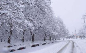 هشدار سازمان هواشناسی درباره بارش برف در بعضی مناطق کشور