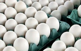 تنظیم بازار گوشت مرغ با عرضه مرغ منجمد/ قیمت تخم‌مرغ کاهش می‌یابد