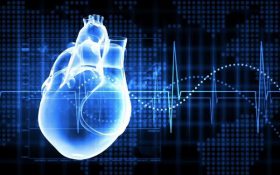 طراحی و ساخت یک داربست رسانا برای مدل‌سازی قلب