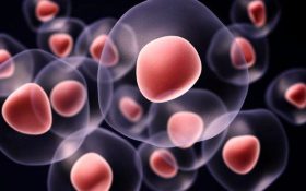 نانوذرات در خدمت کنترل تمایز سلول‌های بنیادی سرطان