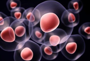 نانوذرات در خدمت کنترل تمایز سلول‌های بنیادی سرطان