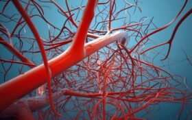 دانشمندان یک «رگ خونی زنده» تولید کردند