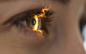 زیست ‌تراشه هوشمند، شبکیه چشم انسان را شبیه‌سازی می‌کند