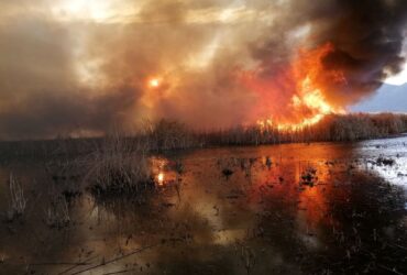 مهار آتش‌سوزی گسترده در نیزارهای زریبار پس از تلاش شبانه‌روزی